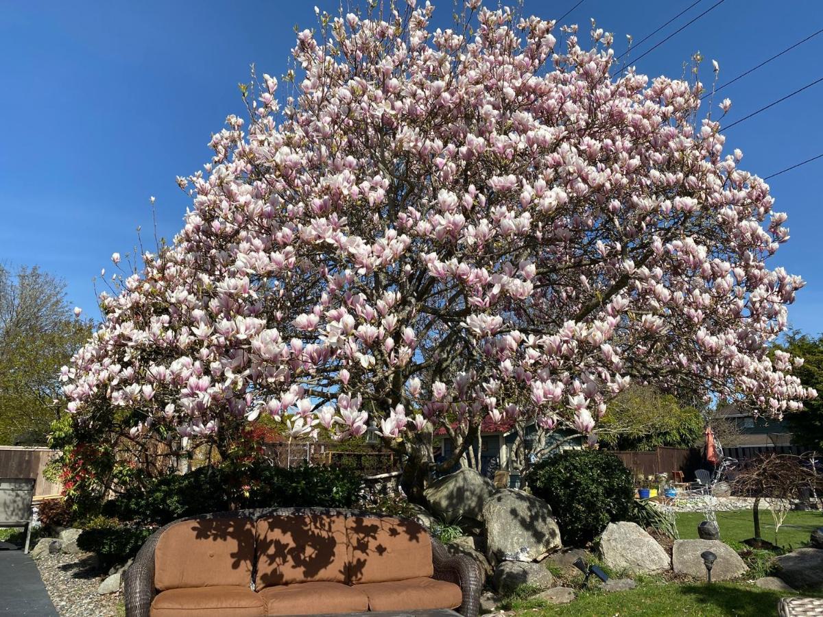 Xanadu 世外桃源 Villa Tsawwassen Esterno foto